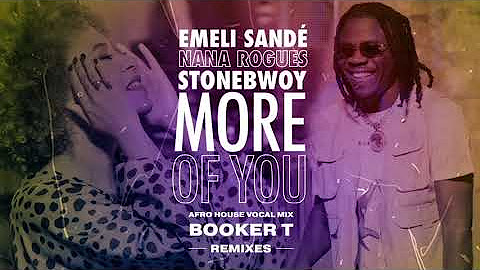 More of You (Booker T Remixes)