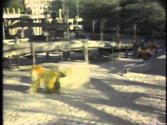 Classic Sesame Street - Balloon Game with Barkley