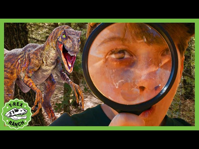 Can You Find All the Dinosaurs? Scavenger Hunt! | T-Rex Ranch Dinosaur Videos for Kids