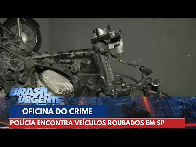 Desmanche do crime: carros e manequins para tiros ao alvo | Brasil Urgente