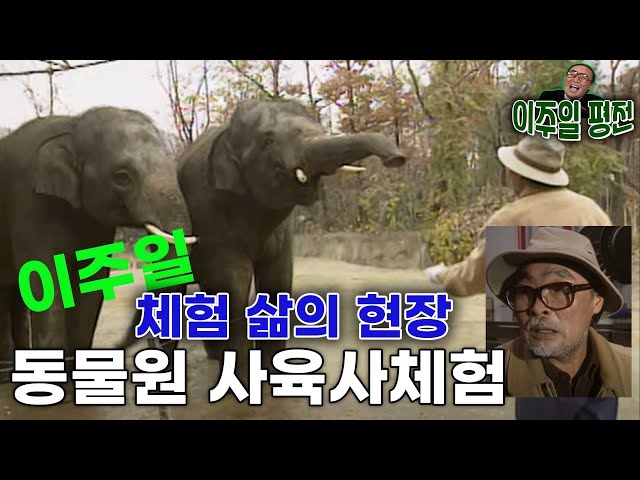 #이주일 #체험 삶의 현장 동물원 사육사체험  [이주일 평전] KBS 방송