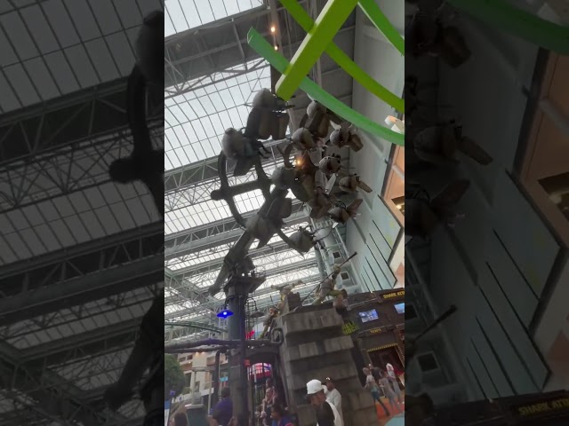 Expert Rider Shows Why She's 'Queen Spinner' of Mall of America Thrill Ride