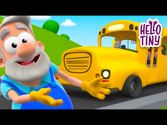 Wheels on the Bus! | Hello Tiny Nursery Rhymes | Animaj Kids