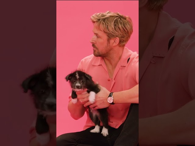 Ryan Gosling: Certified Angry Puppy Wrangler