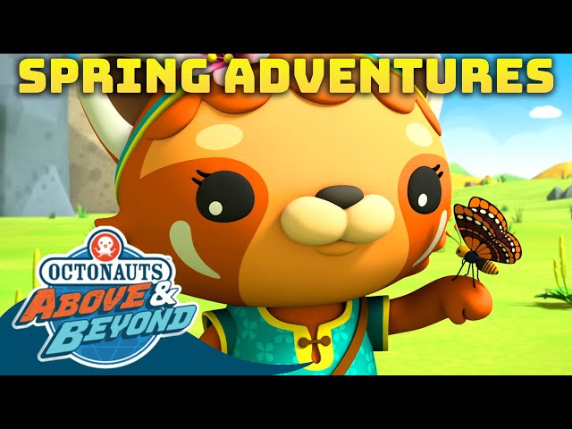 Octonauts: Above & Beyond - ⛅ Spring Adventures 🌼 | Compilation | @Octonauts​