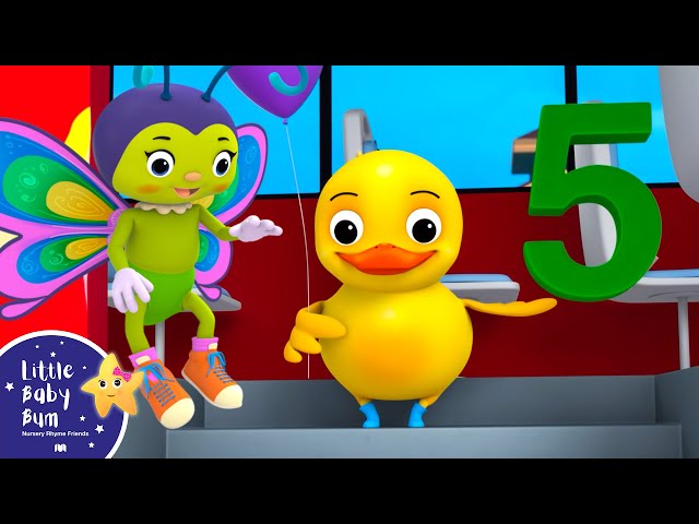Five Little Duck on the Bus Song | Little Baby Bum - New Nursery Rhymes for Kids