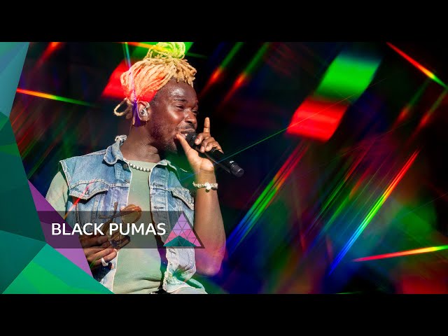Black Pumas - Colors (Glastonbury 2024)