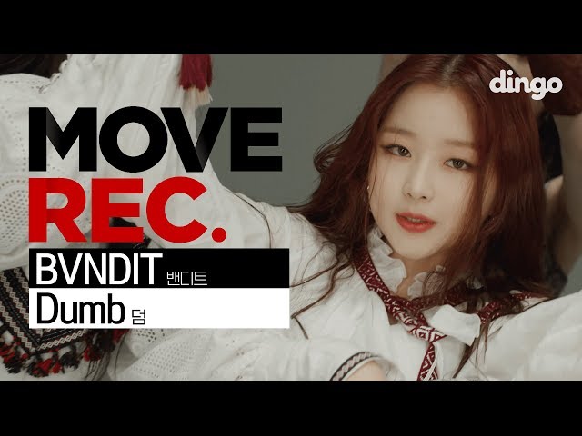 Bandit-Dumb | Performance Video (5K) | MOVE REC