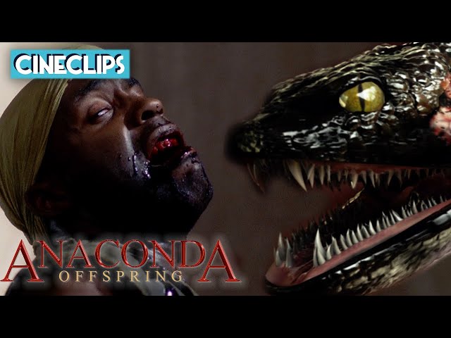Brutal Anaconda Kill | Anaconda 3: Offspring | CineClips