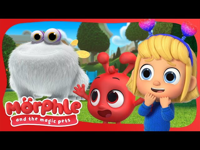 Gobblefrog | Morphle and the Magic Pets | Available on Disney+ and @disneyjunior | BRAND NEW