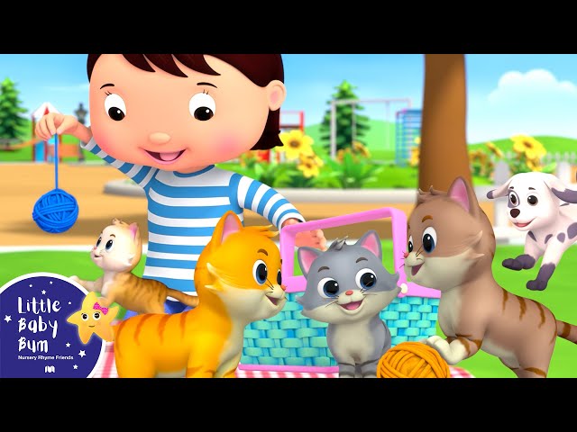 Ten Little Animals - Kittens and Puppies | Little Baby Bum - New Nursery Rhymes for Kids
