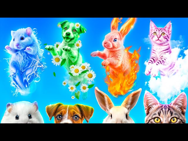 We Saved Four Elements Pets! Fire, Water, Air and Earth!