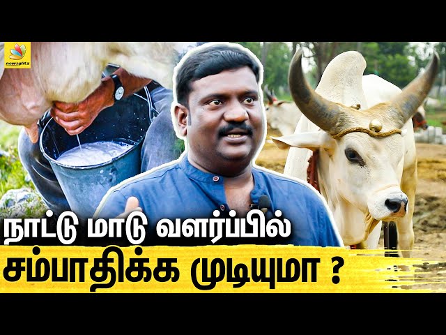 Organic Milk தயாரிக்க முடியுமா ? : How to Start Dairy Farming | Nattu Madu