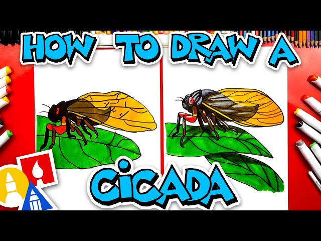 How To Draw A Cicada Insect
