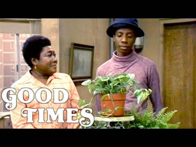 Good Times | Florida's 'Cleanest Apartment' Competition | The Norman Lear Effect