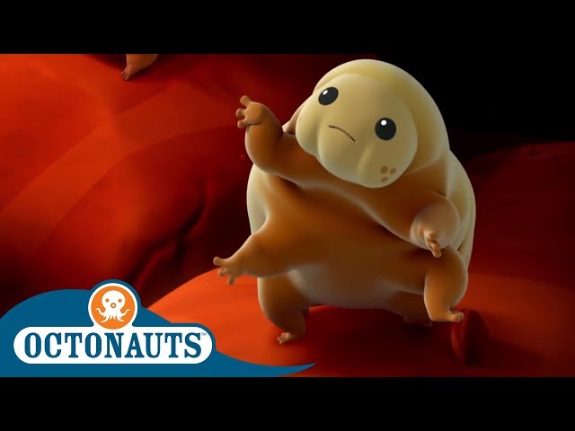 Octonauts - Frank Meets Some New Friends | Cartoons for Kids | Underwater Sea Education