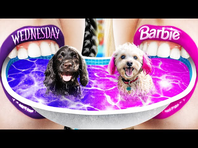 Barbie vs Wednesday Addams! We Build a Tiny Water Park for Pets at Home!