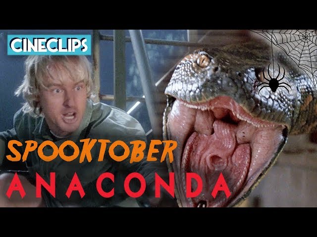 Anaconda Attacks! | Anaconda | CineClips