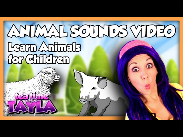 Animal Sounds Video - Learn Animals for Children on Tea Time with Tayla