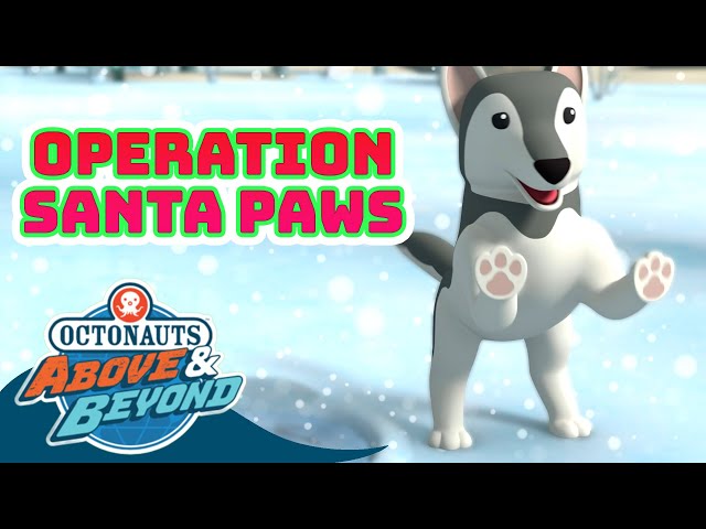 Octonauts: Above & Beyond - 🐻‍❄️ Operation Santa Paws 🐾| Compilation | @Octonauts​
