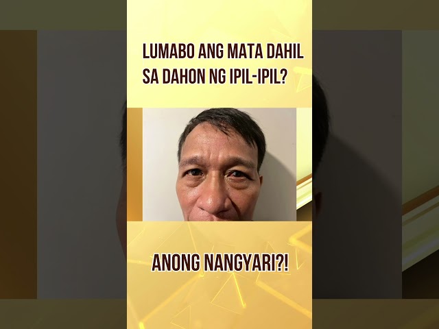 Kawawa naman si lolo! #raffytulfoinaction