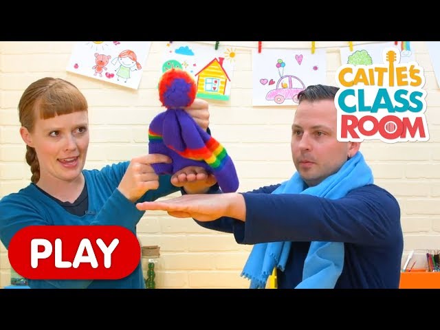 Animal Puppet Show | Caitie's Classroom