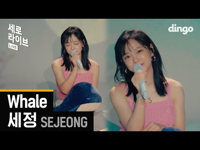 🐳The moment you hear SEJEONG's voice, the summer sea unfolds before you | SEJEONG - Whaleㅣdingomusic