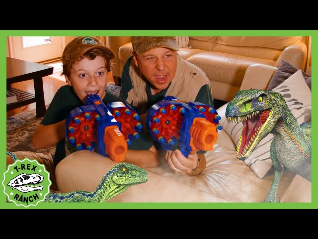 Watch Out For the Baby Raptors! They Got in the House! | T-Rex Ranch Dinosaur Videos for Kids