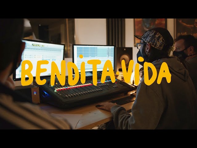 BENDITA VIDA - Txarango feat. Amparanoia, Muerdo