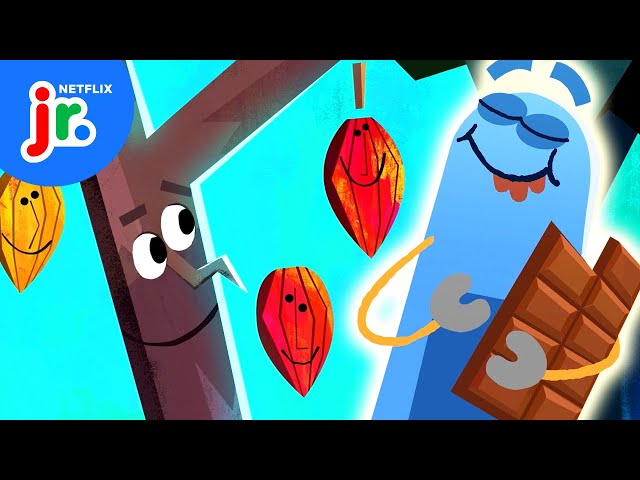 How is Chocolate Made? 🍫 Ask the StoryBots | Netflix Jr