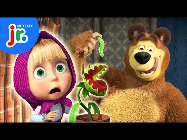 Hungry, Hungry House Plant! 🌱 Masha and the Bear | Netflix Jr