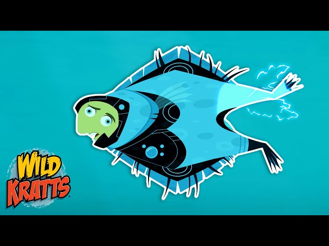 Stingray Transformation Malfunction | Cartoons for Kids | Wild Kratts
