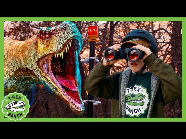 Where Will the Dinos Go? | T-Rex Ranch Dinosaur Videos for Kids