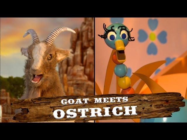 Ostrich | Walt Disney World Goat Friends | WDW Best Day Ever