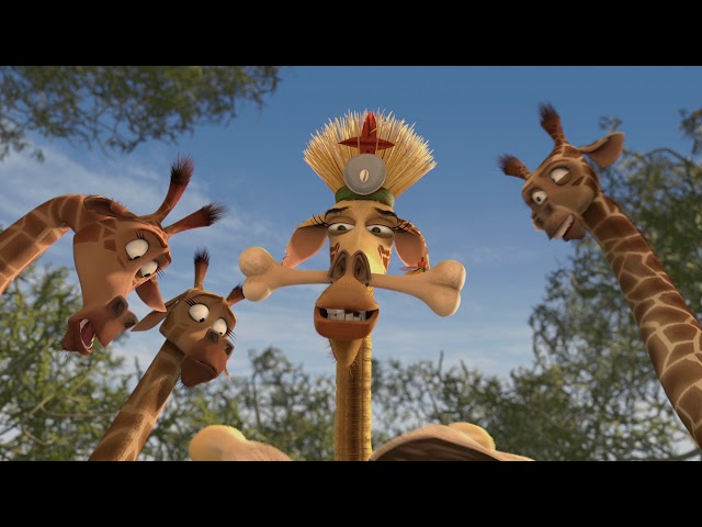 DreamWorks Madagascar | Melman's Funny Moments | Madagascar: Escape 2 Africa Movie Clip