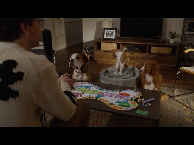 Edward Tests a Board Game with Some Friends - Not Dead Yet