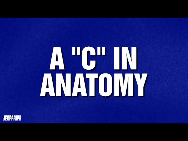 A "C" in Anatomy | Category | JEOPARDY!