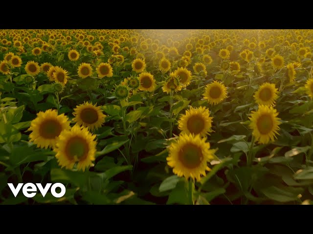 Joe Hisaishi - One Summer’s Day (English Version) featuring Grace Davidson (Visualizer)