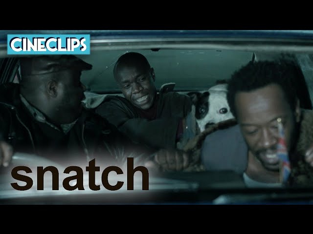 "You Could Land A Jumbo Jet In There!" | Snatch | CineClips