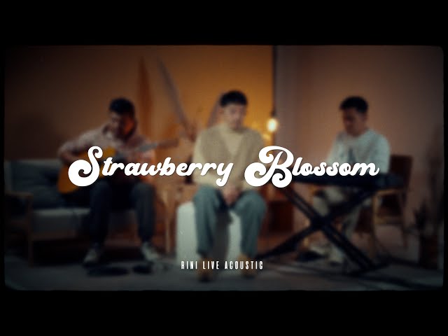 RINI - Strawberry Blossom (Live Acoustic Performance)