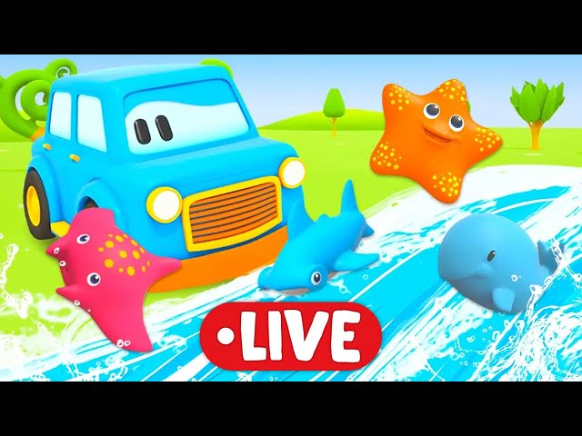 🔵🔴Car cartoon for kids LIVE STREAM | Clever Cars Learn Sea Animals & Educational video for kids.