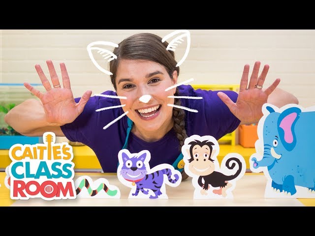 Caitie's Classroom Live - Animals!