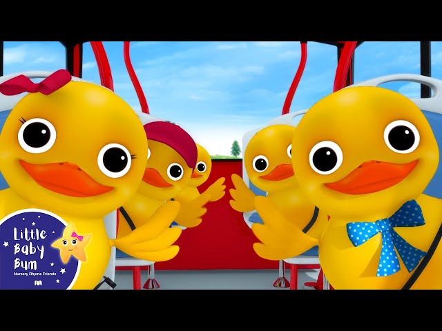 5 Little Ducks On A Bus! | Little Baby Bum - New Nursery Rhymes for Kids