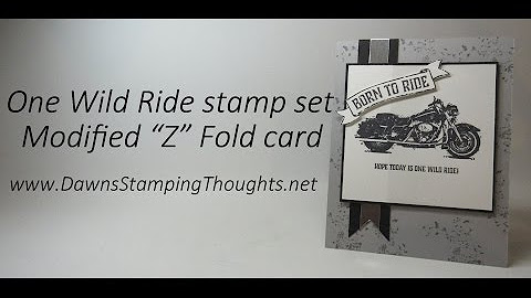 One Wild Ride "Z" fold cards