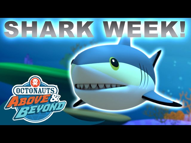 Octonauts: Above & Beyond - Snappy Sharks 🦈 | Shark Week Compilation |  @Octonauts​