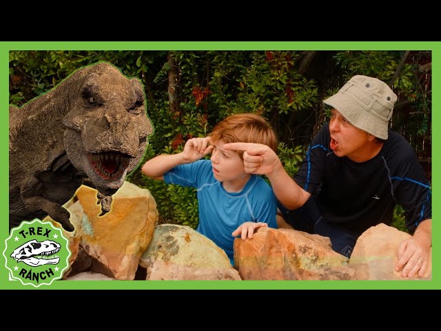 Dinosaur T-Rex at the Pool 🦕 T-Rex Ranch Dinosaur Videos