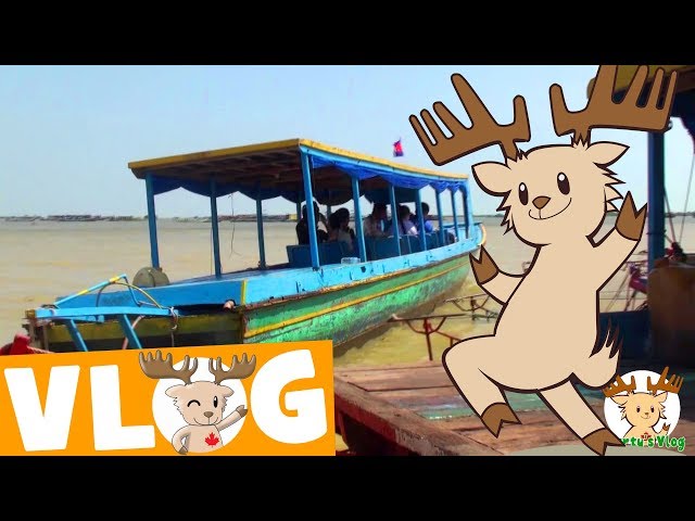 cambodia vlog marty moose