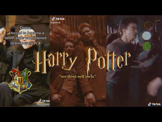 Random Harry Potter TikTok (Part 12)