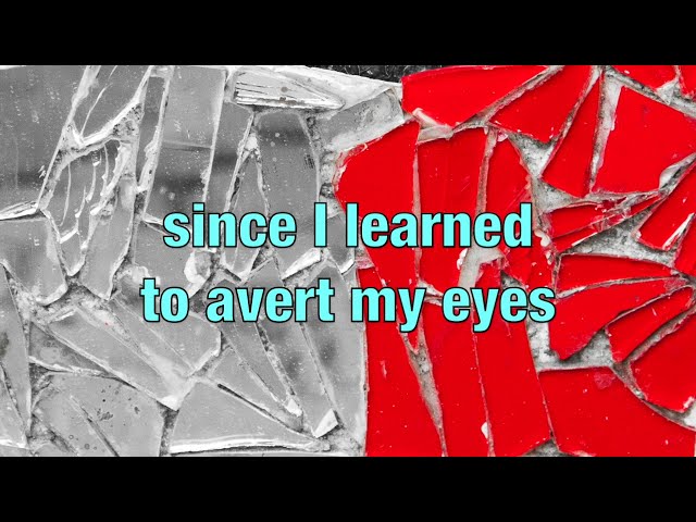 Jarvis Cocker - Disney Time (with Lyrics)