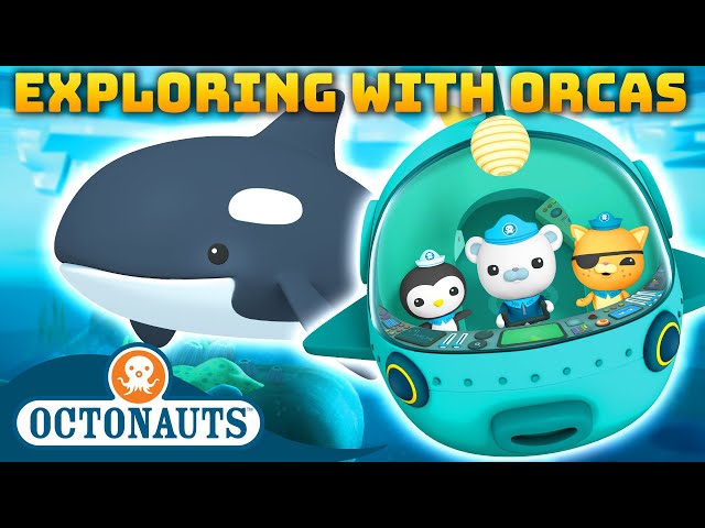 @Octonauts -  🤿 Exploring with Orcas 🐳 | 70 Mins+ Compilation | Underwater Sea Education for Kids